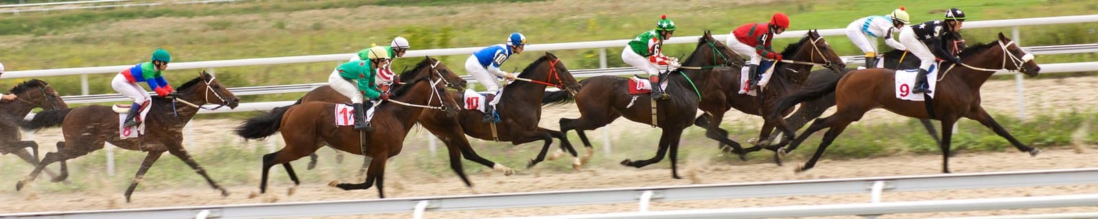 Racehorses in full flight during the Victorian spring carnival